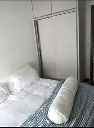 1 Canberra (D27), Condominium #473475891